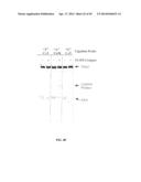 RNase H-Based Assays Utilizing Modified RNA Monomers diagram and image