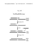 RNase H-Based Assays Utilizing Modified RNA Monomers diagram and image