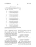 RNase H-Based Assays Utilizing Modified RNA Monomers diagram and image