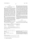 RNase H-Based Assays Utilizing Modified RNA Monomers diagram and image