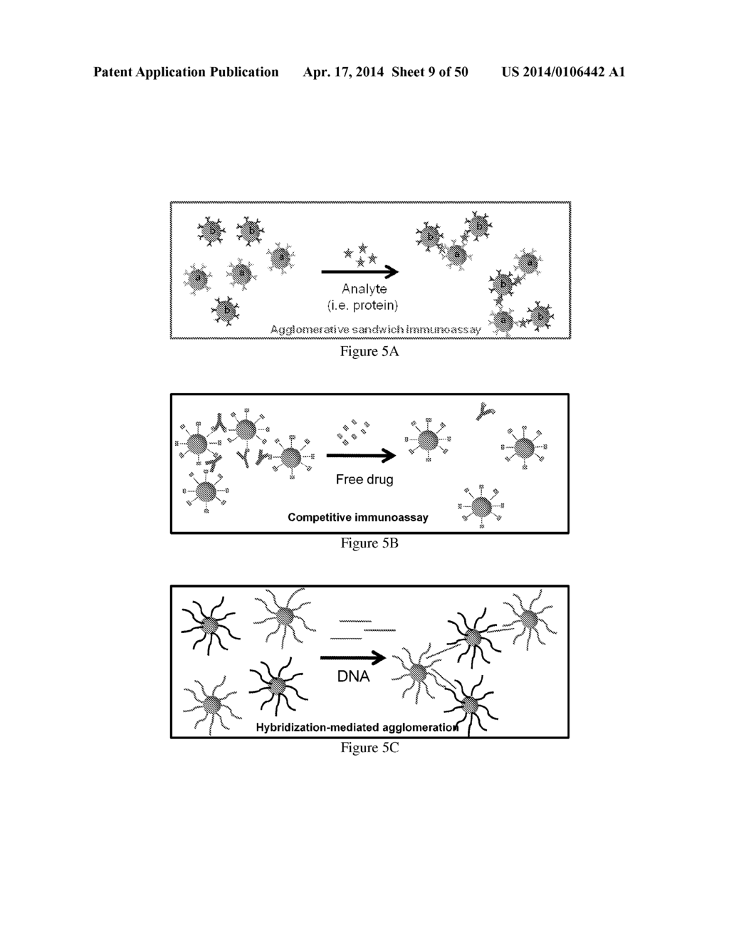 NMR SYSTEMS AND METHODS FOR THE RAPID DETECTION OF ANALYTES - diagram, schematic, and image 10