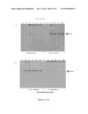 Conjugative Plasmids and Methods of Use Thereof diagram and image