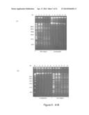 Conjugative Plasmids and Methods of Use Thereof diagram and image