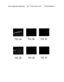 MICROFLUIDIC SYSTEM FOR HIGH-THROUGHPUT, DROPLET-BASED SINGLE MOLECULE     ANALYSIS WITH LOW REAGENT CONSUMPTION diagram and image