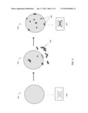 GLASS BEAD FLOW RATES TO FACILITATE IMMUNODIAGNOSTIC TEST ELEMENT     MANUFACTURE diagram and image