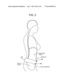 EXERCISE BELT diagram and image