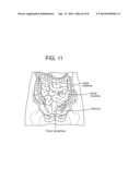 EXERCISE BELT diagram and image