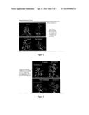 AUXIN PLANT GROWTH REGULATORS diagram and image