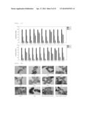 PHARAMACEUTICAL COMPOSITION FOR PREVENTING OR TREATING HUMAN     IMMUNODEFICIENCY VIRUS diagram and image