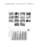 PHARAMACEUTICAL COMPOSITION FOR PREVENTING OR TREATING HUMAN     IMMUNODEFICIENCY VIRUS diagram and image