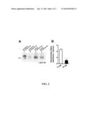 METHODS AND COMPOSITIONS FOR PREDICTING RESPONSE TO GLP-1 ANALOGS diagram and image