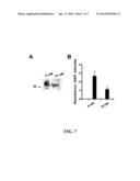 METHODS AND COMPOSITIONS FOR PREDICTING RESPONSE TO GLP-1 ANALOGS diagram and image