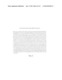 POLYPEPTIDE COMPOUNDS FOR INHIBITING ANGIOGENESIS AND TUMOR GROWTH diagram and image