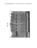 POLYPEPTIDE COMPOUNDS FOR INHIBITING ANGIOGENESIS AND TUMOR GROWTH diagram and image