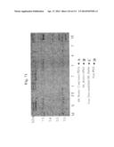 POLYPEPTIDE COMPOUNDS FOR INHIBITING ANGIOGENESIS AND TUMOR GROWTH diagram and image