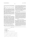 POLYPEPTIDE COMPOUNDS FOR INHIBITING ANGIOGENESIS AND TUMOR GROWTH diagram and image