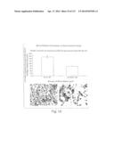 POLYPEPTIDE COMPOUNDS FOR INHIBITING ANGIOGENESIS AND TUMOR GROWTH diagram and image