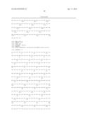 POLYPEPTIDE COMPOUNDS FOR INHIBITING ANGIOGENESIS AND TUMOR GROWTH diagram and image