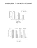 POLYPEPTIDE COMPOUNDS FOR INHIBITING ANGIOGENESIS AND TUMOR GROWTH diagram and image