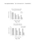 POLYPEPTIDE COMPOUNDS FOR INHIBITING ANGIOGENESIS AND TUMOR GROWTH diagram and image