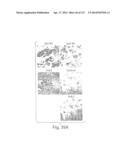 POLYPEPTIDE COMPOUNDS FOR INHIBITING ANGIOGENESIS AND TUMOR GROWTH diagram and image