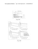 POLYPEPTIDE COMPOUNDS FOR INHIBITING ANGIOGENESIS AND TUMOR GROWTH diagram and image