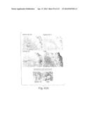 POLYPEPTIDE COMPOUNDS FOR INHIBITING ANGIOGENESIS AND TUMOR GROWTH diagram and image