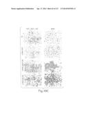 POLYPEPTIDE COMPOUNDS FOR INHIBITING ANGIOGENESIS AND TUMOR GROWTH diagram and image