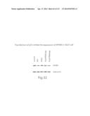 POLYPEPTIDE COMPOUNDS FOR INHIBITING ANGIOGENESIS AND TUMOR GROWTH diagram and image