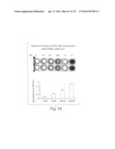 POLYPEPTIDE COMPOUNDS FOR INHIBITING ANGIOGENESIS AND TUMOR GROWTH diagram and image