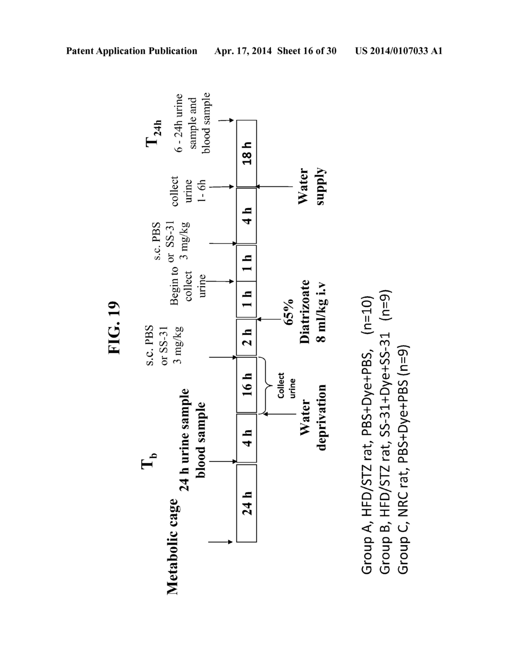 METHODS FOR PREVENTION AND TREATMENT OF ACUTE RENAL INJURY - diagram, schematic, and image 17