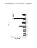 KDR AND VEGF/KDR BINDING PEPTIDES AND THEIR USE IN DIAGNOSIS AND THERAPY diagram and image