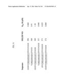 KDR AND VEGF/KDR BINDING PEPTIDES AND THEIR USE IN DIAGNOSIS AND THERAPY diagram and image