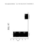 KDR AND VEGF/KDR BINDING PEPTIDES AND THEIR USE IN DIAGNOSIS AND THERAPY diagram and image