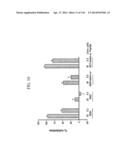 KDR AND VEGF/KDR BINDING PEPTIDES AND THEIR USE IN DIAGNOSIS AND THERAPY diagram and image