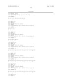 KDR AND VEGF/KDR BINDING PEPTIDES AND THEIR USE IN DIAGNOSIS AND THERAPY diagram and image