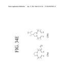 KDR AND VEGF/KDR BINDING PEPTIDES AND THEIR USE IN DIAGNOSIS AND THERAPY diagram and image