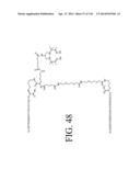 KDR AND VEGF/KDR BINDING PEPTIDES AND THEIR USE IN DIAGNOSIS AND THERAPY diagram and image