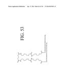 KDR AND VEGF/KDR BINDING PEPTIDES AND THEIR USE IN DIAGNOSIS AND THERAPY diagram and image