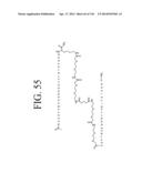 KDR AND VEGF/KDR BINDING PEPTIDES AND THEIR USE IN DIAGNOSIS AND THERAPY diagram and image