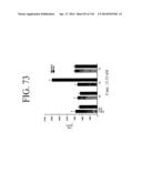 KDR AND VEGF/KDR BINDING PEPTIDES AND THEIR USE IN DIAGNOSIS AND THERAPY diagram and image