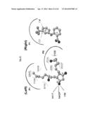 Bifunctional AKR1C3 Inhibitors/Androgen Receptor Modulators and Methods of     Use Thereof diagram and image