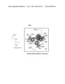 Bifunctional AKR1C3 Inhibitors/Androgen Receptor Modulators and Methods of     Use Thereof diagram and image