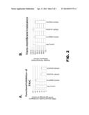 ORGANIC COMPOSITIONS TO TREAT Beta-ENaC-RELATED DISEASES diagram and image