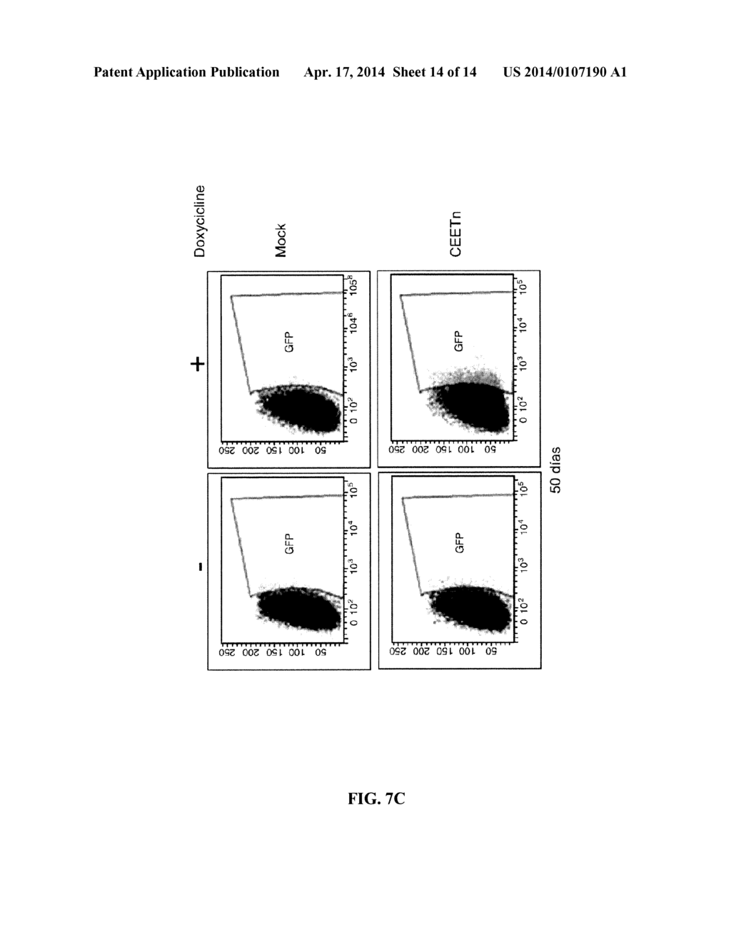 HIGHLY INDUCIBLE DUAL-PROMOTER LENTIVIRAL TET-ON SYSTEM - diagram, schematic, and image 15