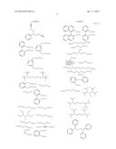 Preparation Process for Cyclic Conjugated Polymer and Polymerization     Catalyst for Cyclic Conjugated Polymer diagram and image