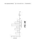 Dynamic MR Imaging of Patients with Breast Cancer -- Establishment and     Comparison of Different Analytical Methods for Tissue Perfusion and     Capillary Permeability diagram and image