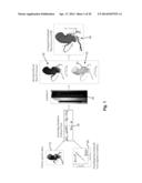 METHOD AND SYSTEM FOR PATIENT-SPECIFIC MODELING OF BLOOD FLOW diagram and image