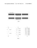 ERROR TOLERANT OR STREAMING STORAGE DEVICE diagram and image