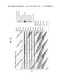 TRANSMITTING SYSTEM AND METHOD OF TRANSMITTING DIGITAL BROADCAST SIGNAL IN     TRANSMITTING SYSTEM diagram and image